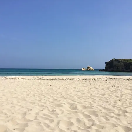 Caponegro 아볼라